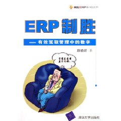 ERP制勝：有效駕馭管理中的數字