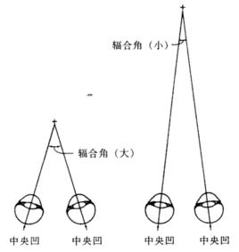 視軸輻合