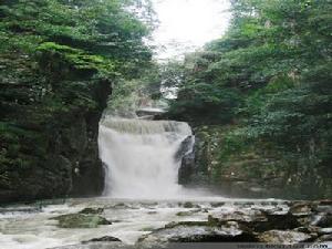 大峽谷村[杭州市臨安區龍崗鎮轄村]