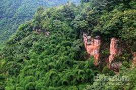 老君山自然保護區[雲南省文山縣自然保護區]