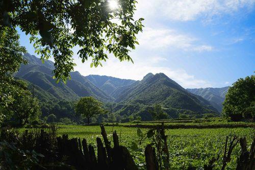 闊、針葉混交林——箭峪嶺