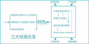 3D-MCT立體白癜風治療康復體系拓撲圖