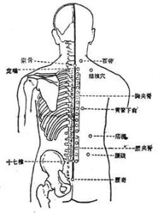 下腰部