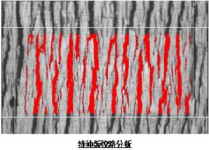 特種版紋路分析