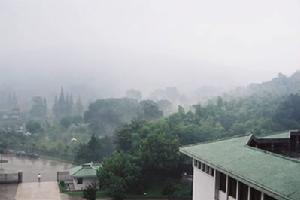 南山森林公園