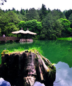 阿里山風景區