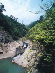 集雲山森林公園