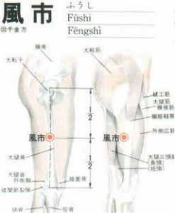 （圖）風市穴
