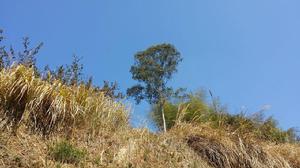 琦園[福建省南安市眉山鄉天山村下轄自然村]