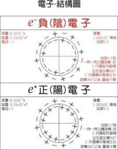 淨電荷