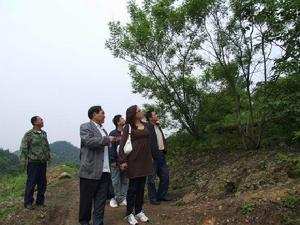 朱家坪村[湖北宜昌市點軍區橋邊鎮下轄村]