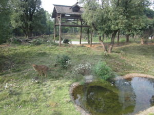 長沙生態動物園