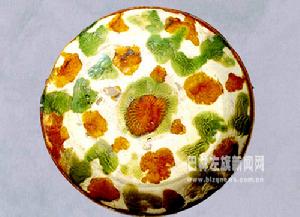 菊花紋三彩盤 菊花紋三彩盤