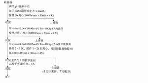 膠原蛋白鹽析工藝流程