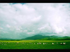 梅花山[伊春市]