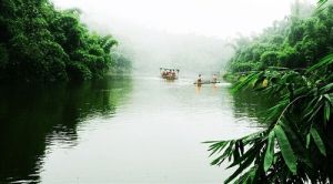 沐川竹海