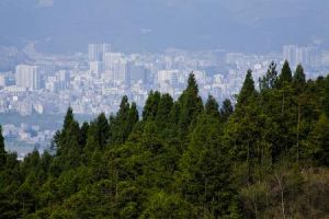 甘溪山森林公園