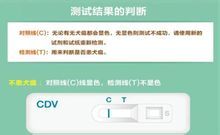 CDV結果