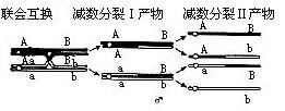 相引相