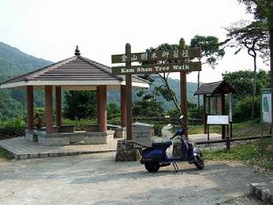 （圖）金山樹木研習徑