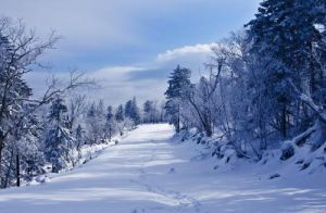 北大壺滑雪場