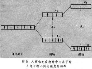 配位場理論