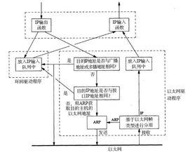 loopback接口