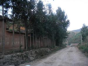 馬鹿溝村[雲南魯甸縣文屏鎮下轄村]