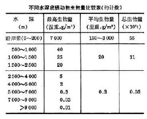 深海動物群