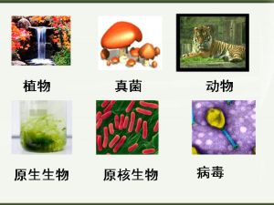 生物界