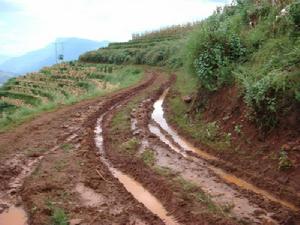 吾孫廟村進村道路