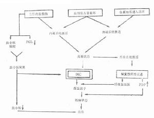 DIC[疾病]