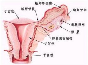 月經稀少