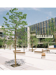 大東文化大學