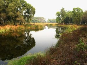 稻香湖天然公園