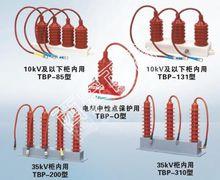 西高避雷器製造有限公司