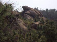 望夫山——烏龜爬山