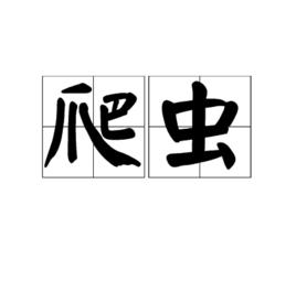 爬蟲[漢語詞語]