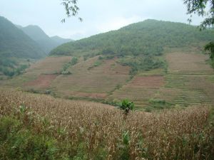 村情概況馬崩田自然村