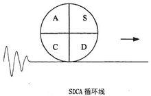 SDCA循環