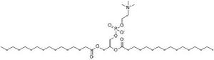 二棕櫚醯磷脂醯膽鹼(DPPC)