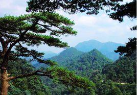 重慶九重山國家森林公園