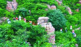 大虎嶺森林公園