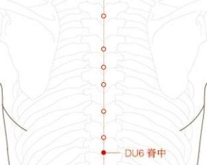 脊中穴