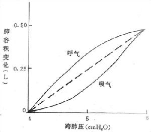 肺通氣