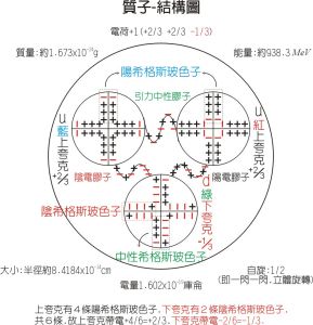 質子-內部結構模型圖