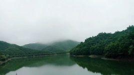 青山村[安徽省池州市東至縣青山鄉青山村]