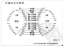 牙齒的平均壽命