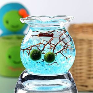 MARIMO