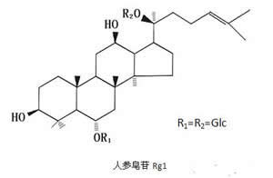 三七根皂苷